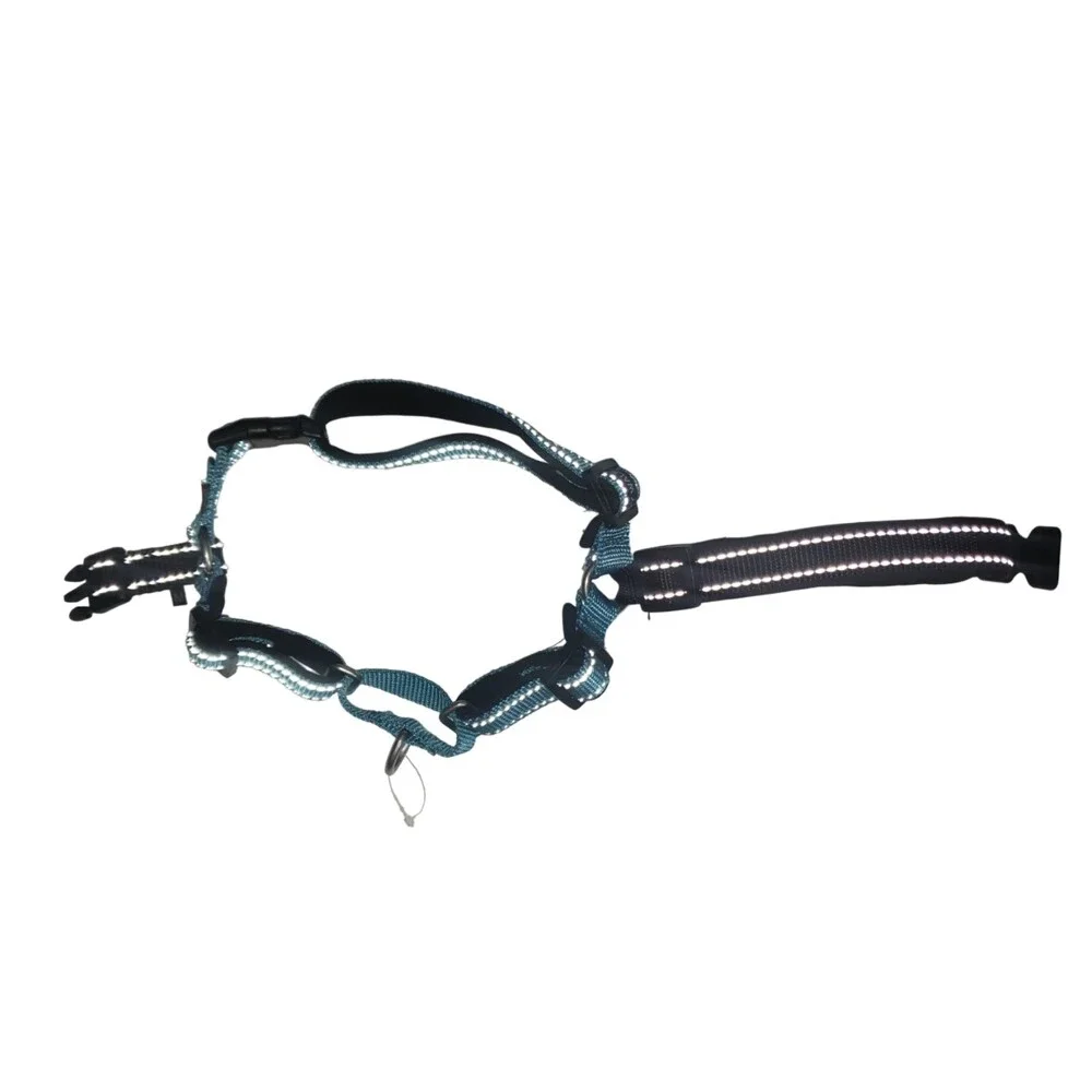 PET SAFE Easy Walk Blue Dog Harness Size Medium NEW